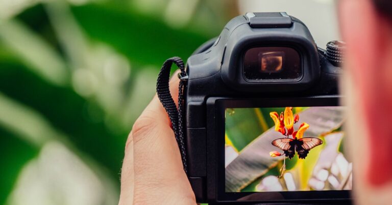 Finding Unique Bird Photography Locations