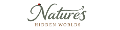 Nature's Hidden Worlds
